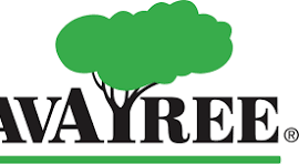 SavaTree